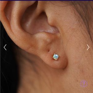 Flatback Earring NWOT